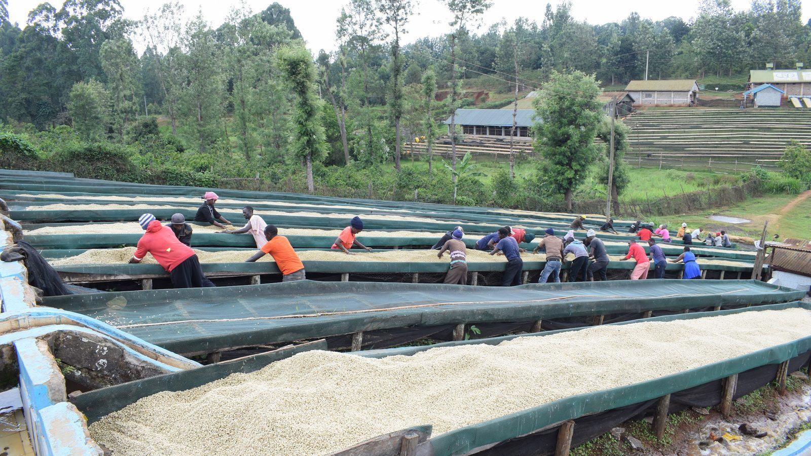Raised drying beds in the hills