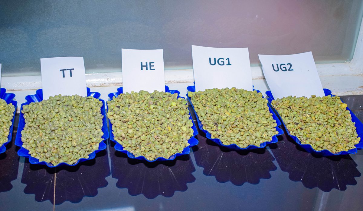 Grading trays labelled TT, HE, UG1 and UG2