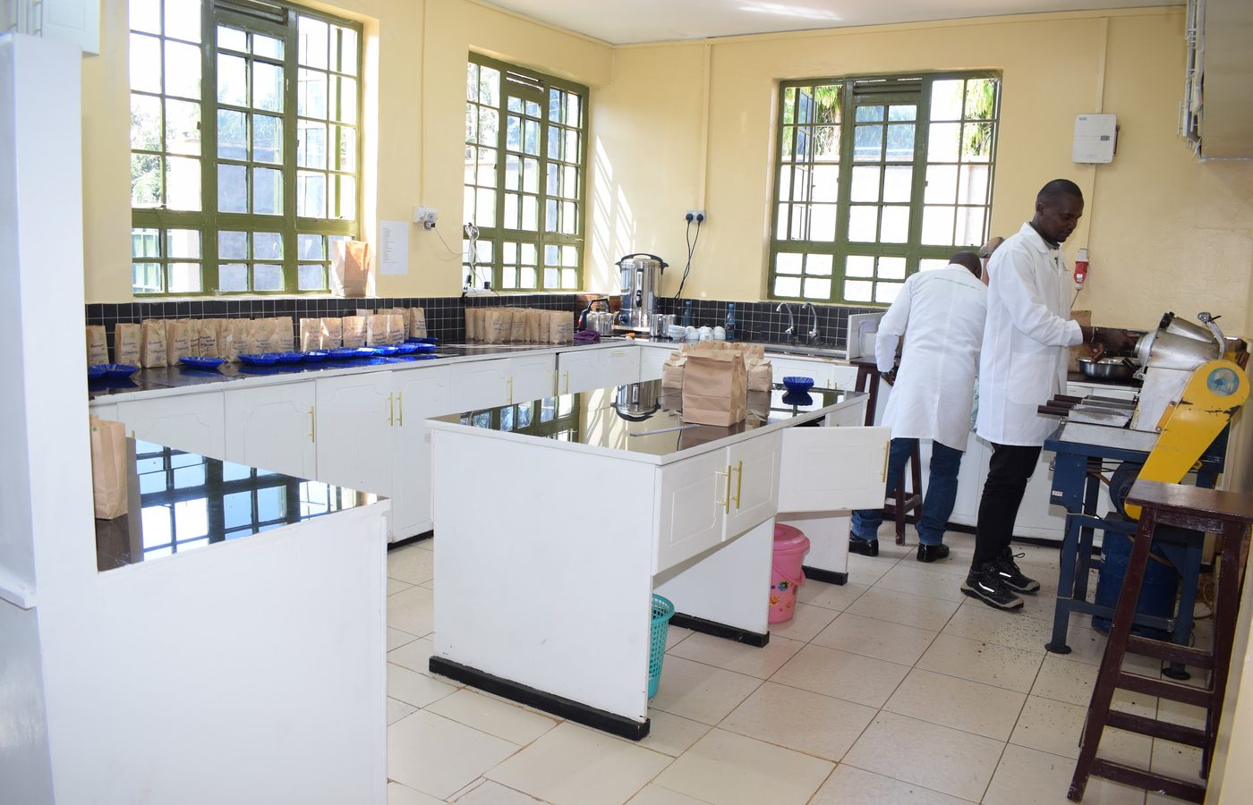 Union staff at work in the cupping laboratory