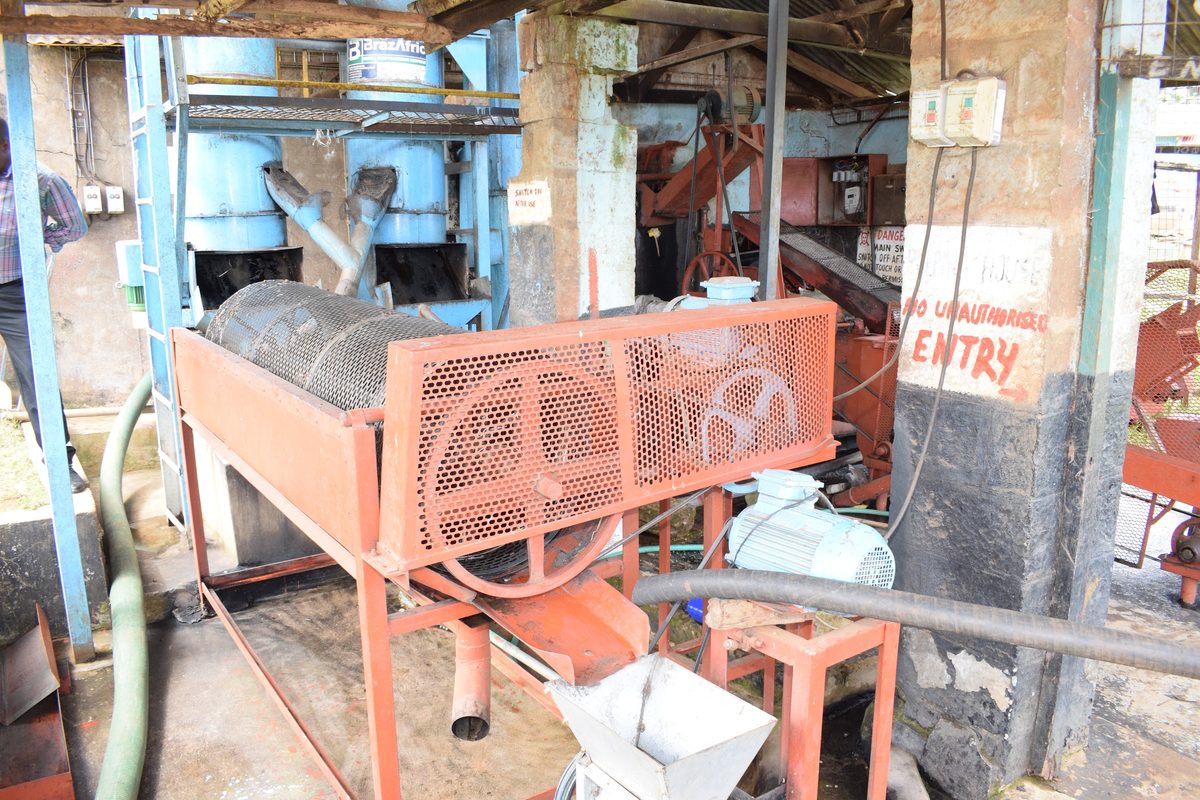 Disc pulping machinery inside a coffee factory