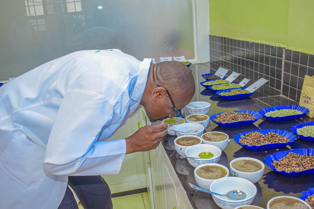 A cupper assessing samples at the Union laboratory