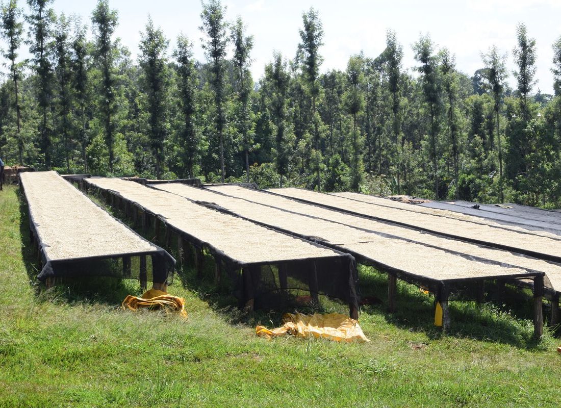 Baragwi FCS — Drying beds above the valley