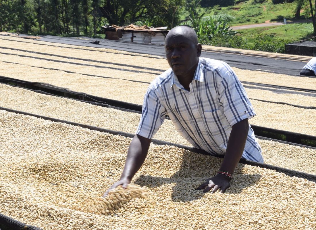 Baragwi FCS — Turning parchment by hand