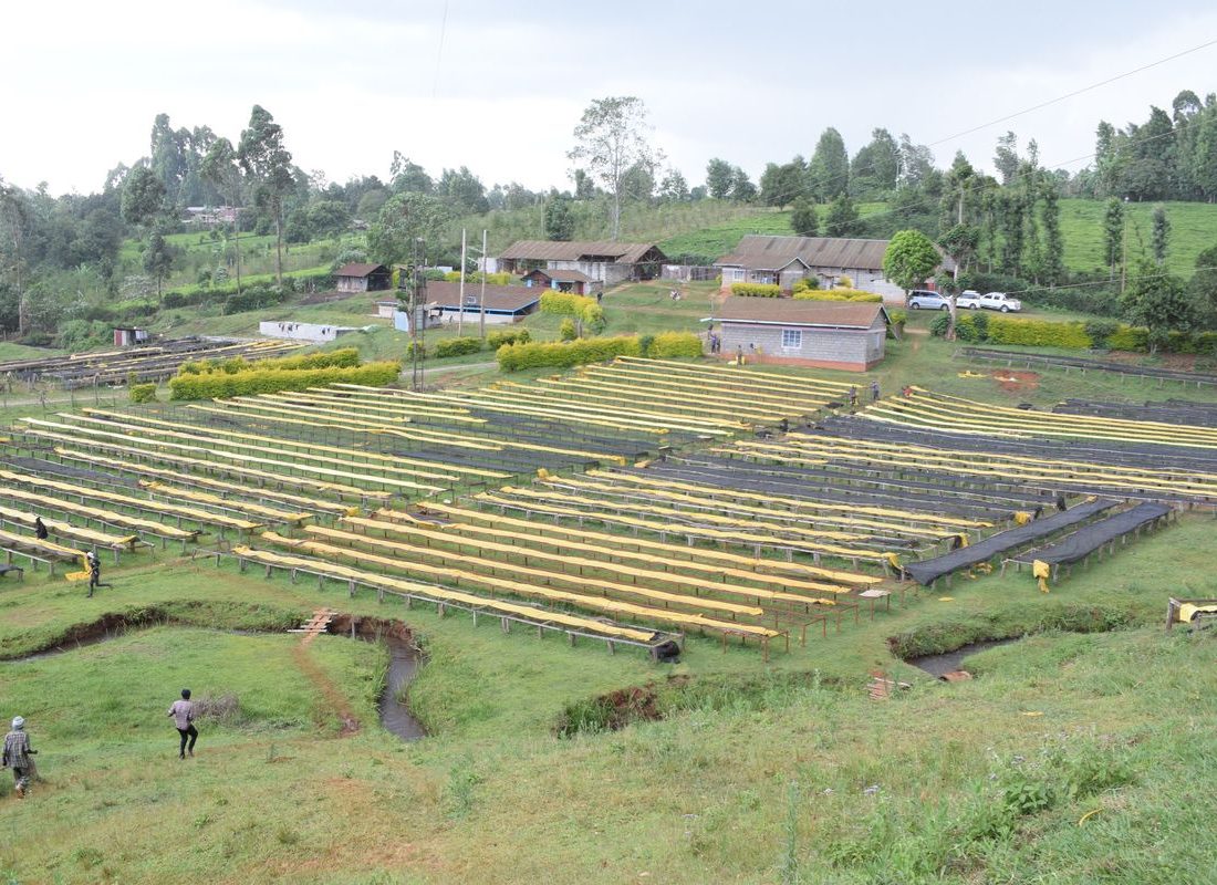 Karithathi FCS — The drying field