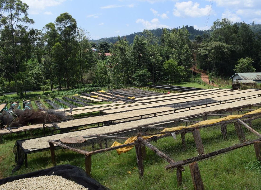 Kibirigwi FCS — Raised beds