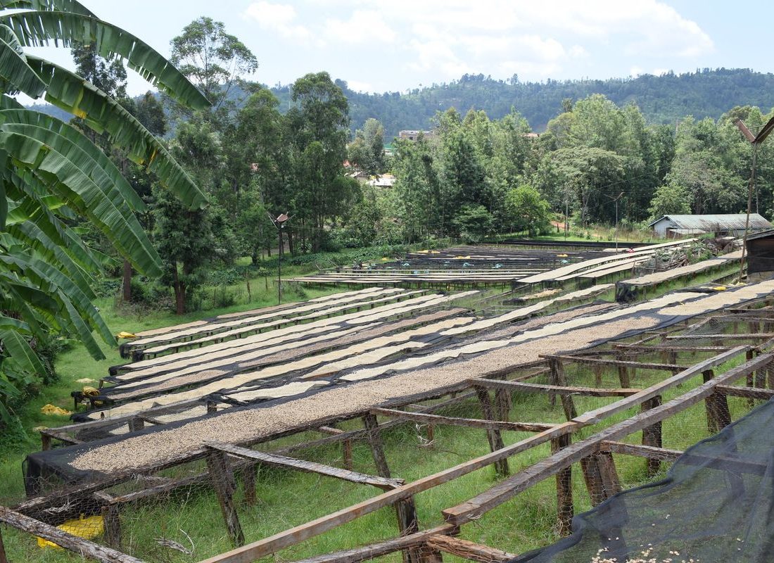 Kibirigwi FCS — Beds under the canopy