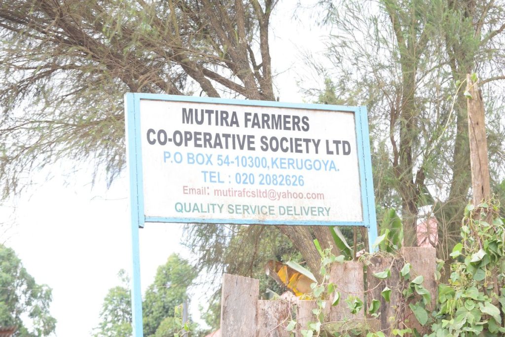 Mutira FCS
