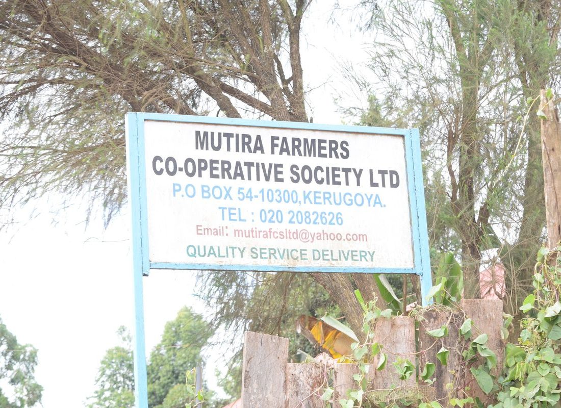 Mutira FCS