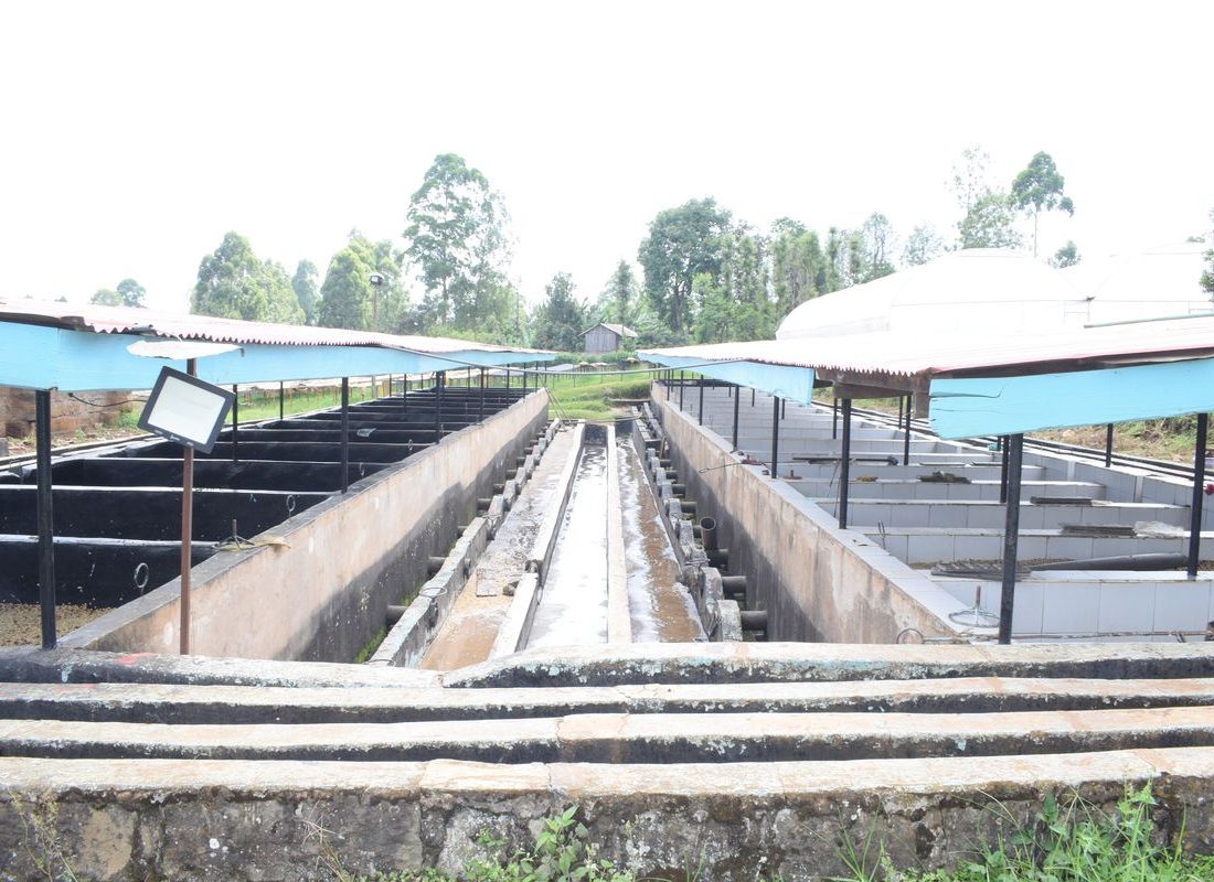 Mutira FCS — Disc pulpers