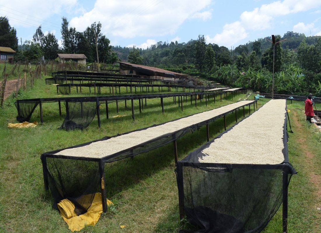 Mwirua FCS — Beds along the ridge