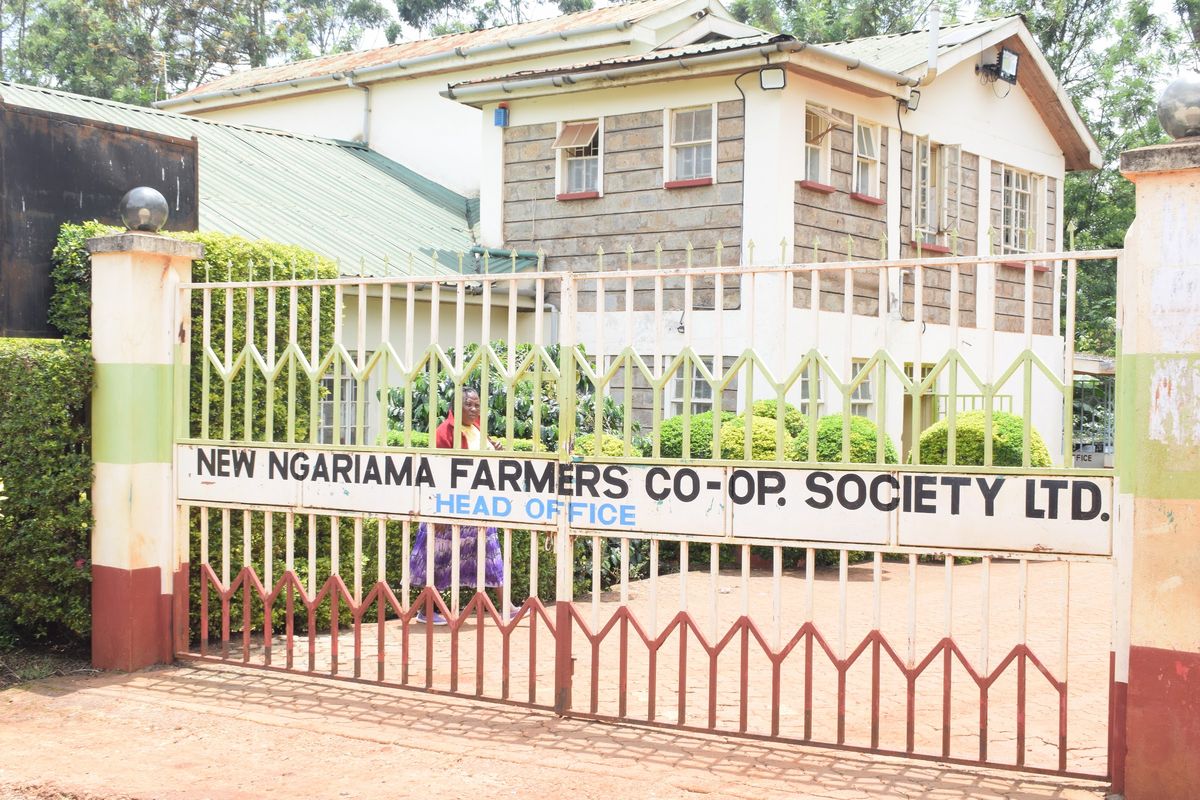 New Ngariama FCS