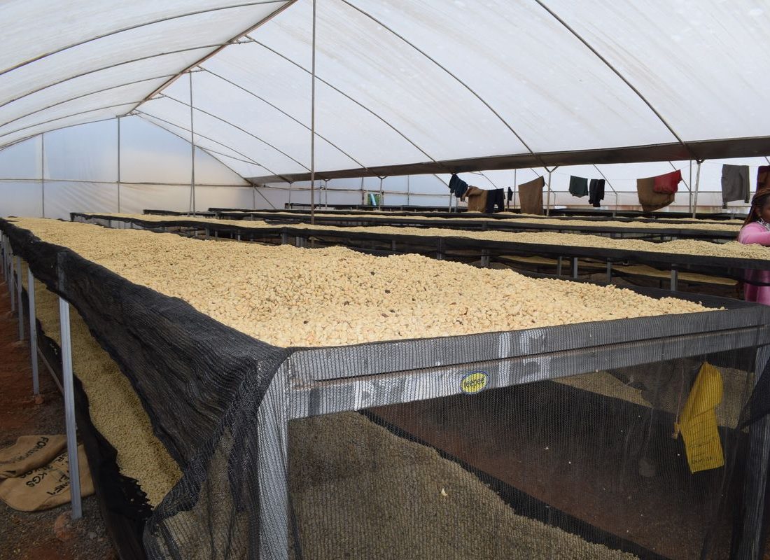 New Ngariama FCS — Solar drying tunnel