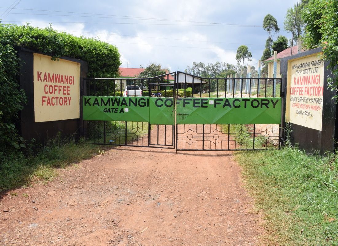 New Ngariama FCS — Kiamangi Coffee Factory