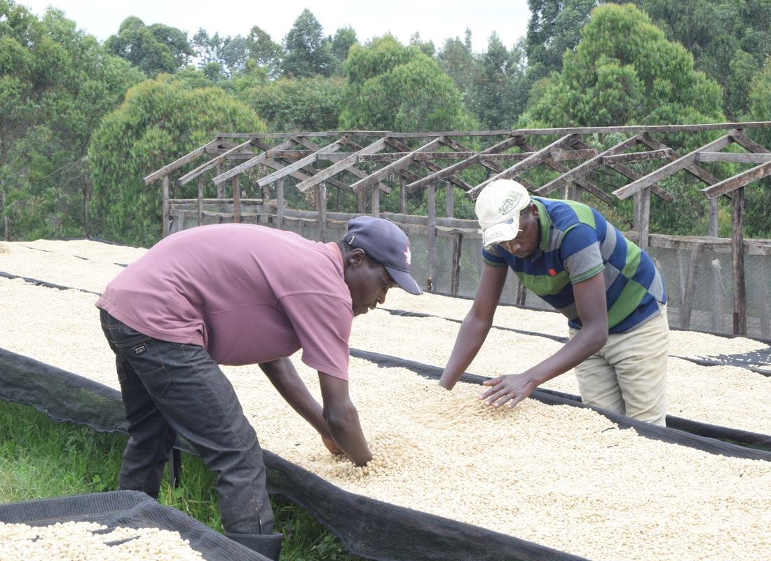 New Ngariama FCS — Working the beds