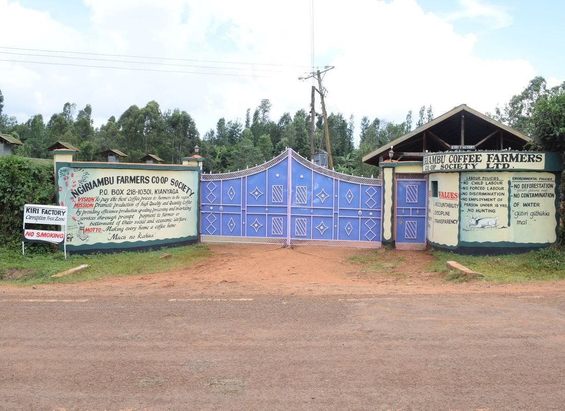 Ngiriambu FCS — The factory gate