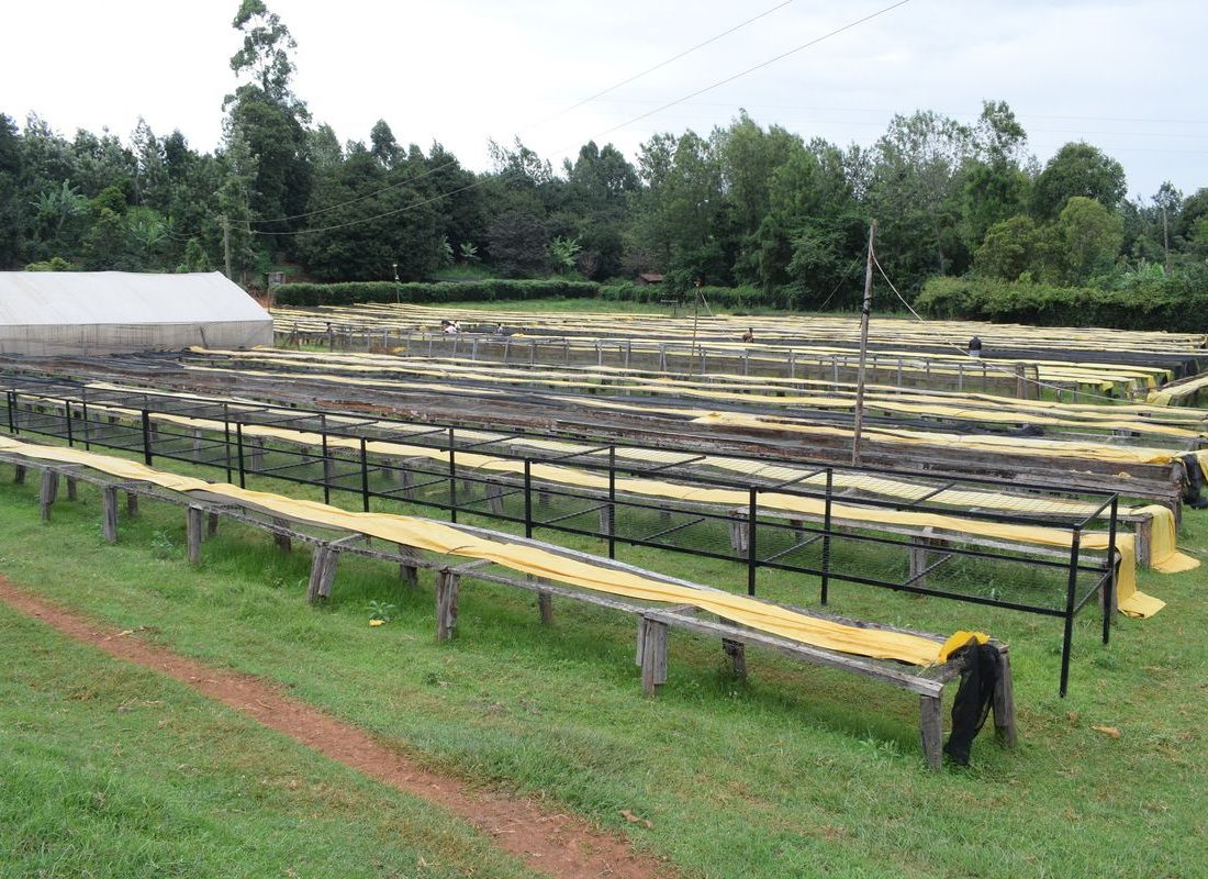 Ngiriambu FCS — Beds at the factory