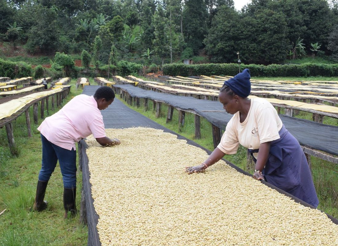 Ngiriambu FCS — Working the beds
