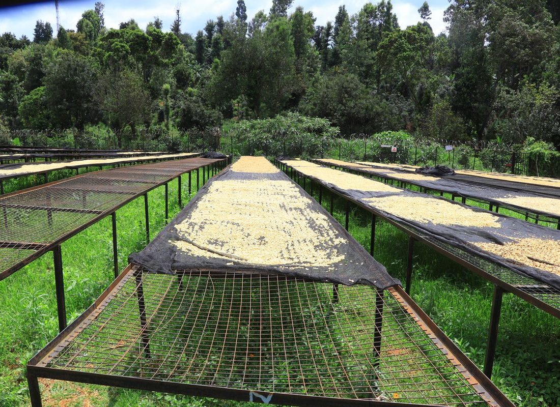 Rwama FCS — Beds along the slope