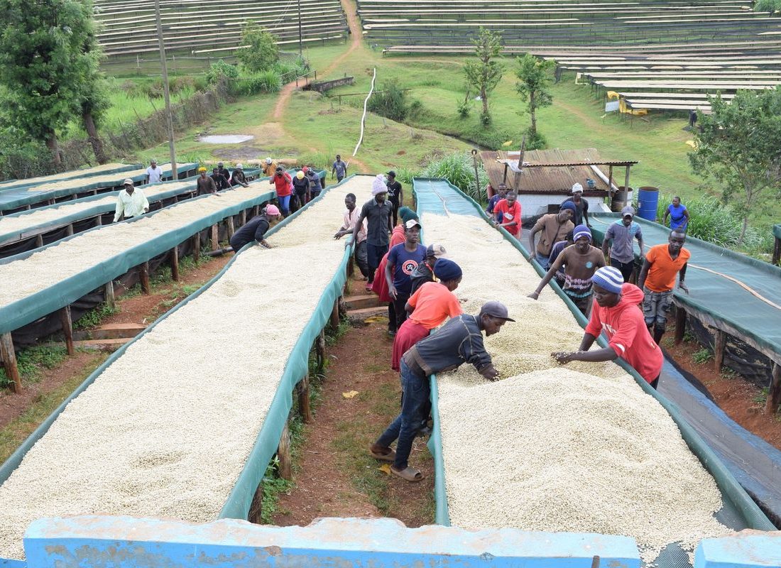 Thirikwa FCS — Beds across the slope