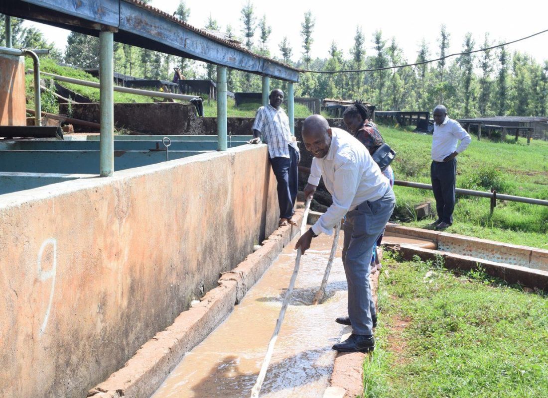 From River to Raised Bed: How Direct Fresh Mountain Washing Elevates Rungeto and Baragwi Coffees